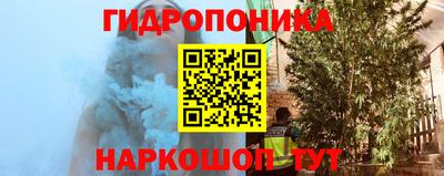 ПСИЛОЦИБИНОВЫЕ ГРИБЫ Пенза