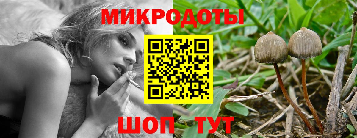 Северобайкальск  Галлюциногенные грибы ЛСД  Псилоцибиновые грибы Psilocybe  Вход с VPN 