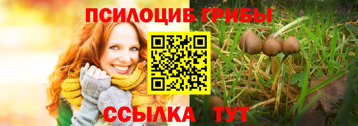 Псилоцибиновые грибы GOLDEN TEACHER Северобайкальск